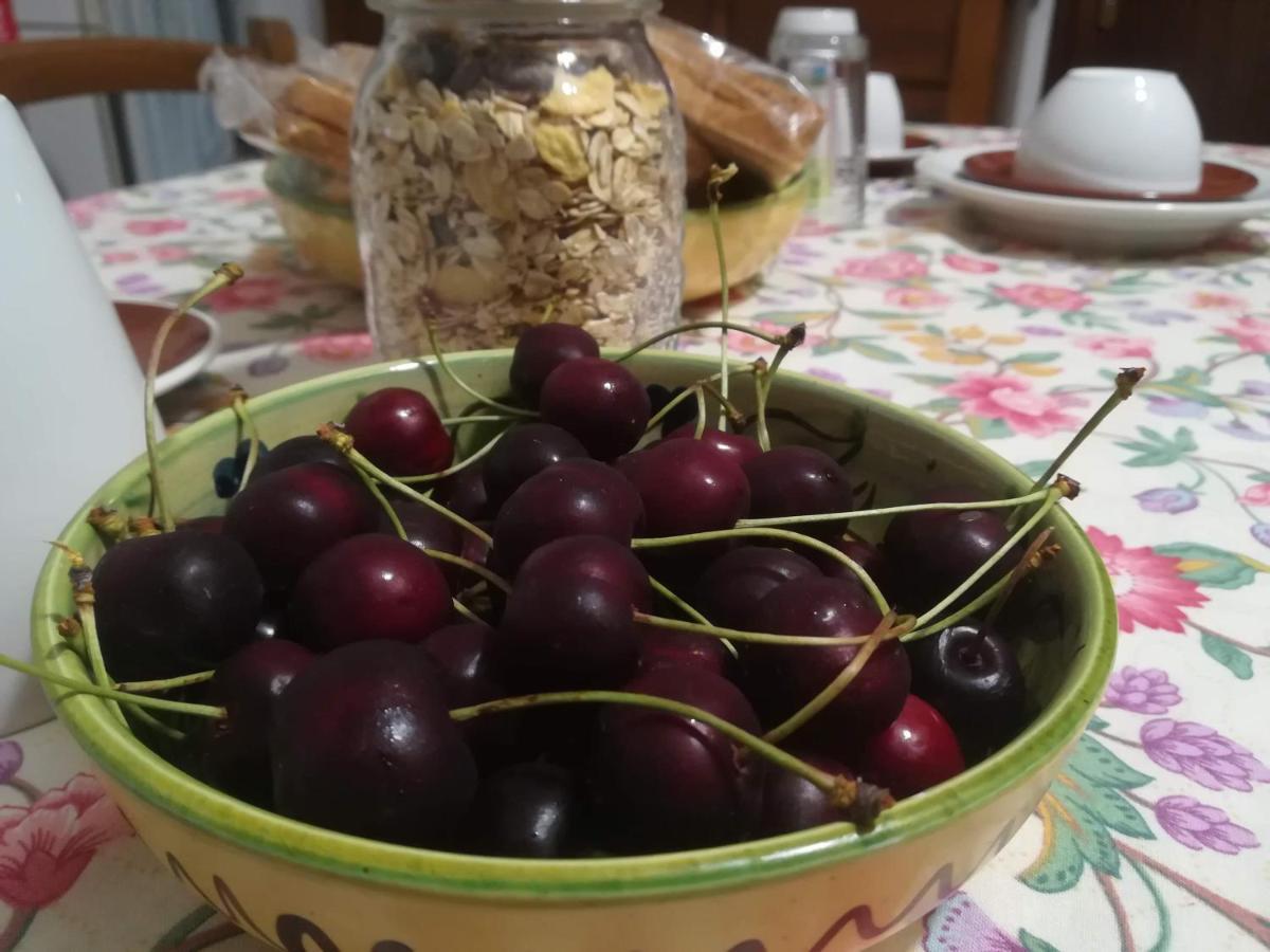 A Casa Di Carla B&B San Raffaele Cimena Ngoại thất bức ảnh